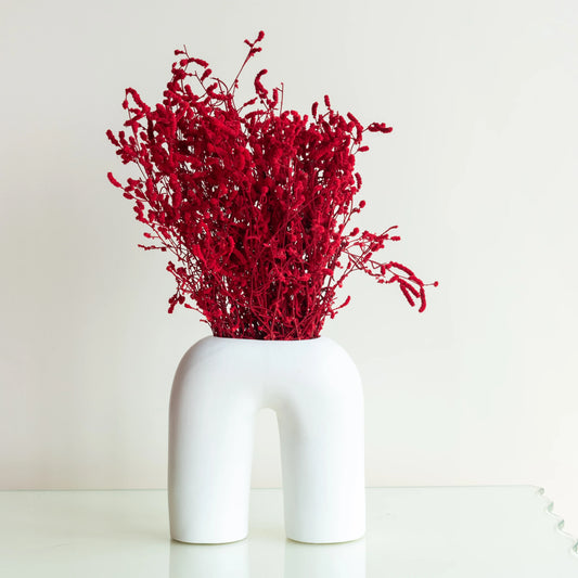 Red Dried German Statice Grass (100 Grams) in a U shaped Vase
