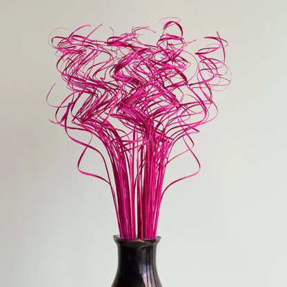 Curly Sticks (100 Grams)