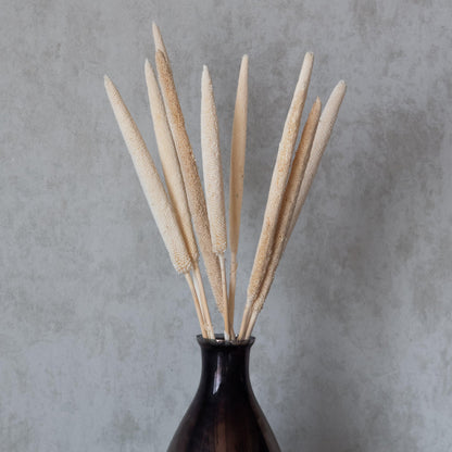 White Millet Sticks (10 Sticks)