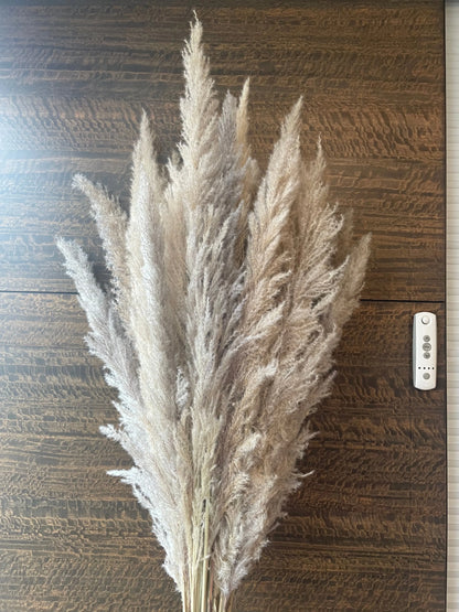 Glow pampas in a White U Shaped Vase