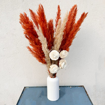 Honey and Glow Boho Pampas  Bundle In White ribbed Vase
