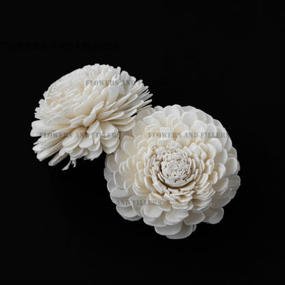 Sola Belly Flower 6 cm (Pack of 20)