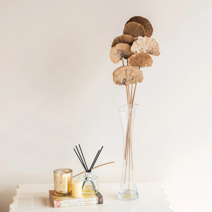 Sponge Mushroom Sticks (10 Sticks)