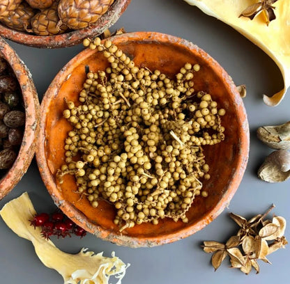 Canella Berries (20Pcs)