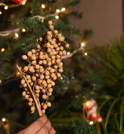 Canella Berries (20Pcs)