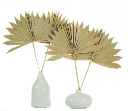 Natural Sun Palm Spears (Set Of 5 Pcs)