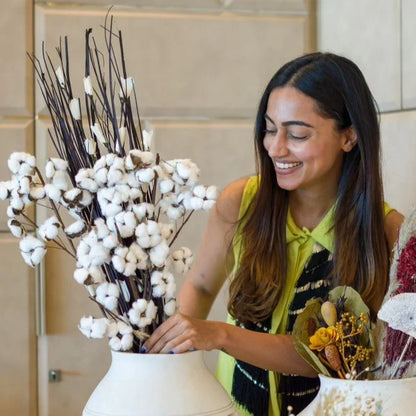 The Wild Cotton Bunch