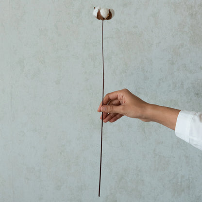 Cotton Sticks (Pack of 15)