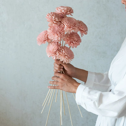 Blush Pink Belly Sola Wood Flowers Sticks (10 Sticks)