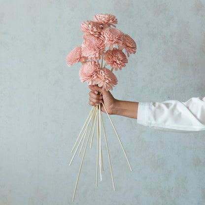 Blush Pink Belly Sola Wood Flowers Sticks (10 Sticks)