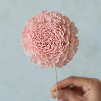 Blush Pink Belly Sola Wood Flowers Sticks (10 Sticks)