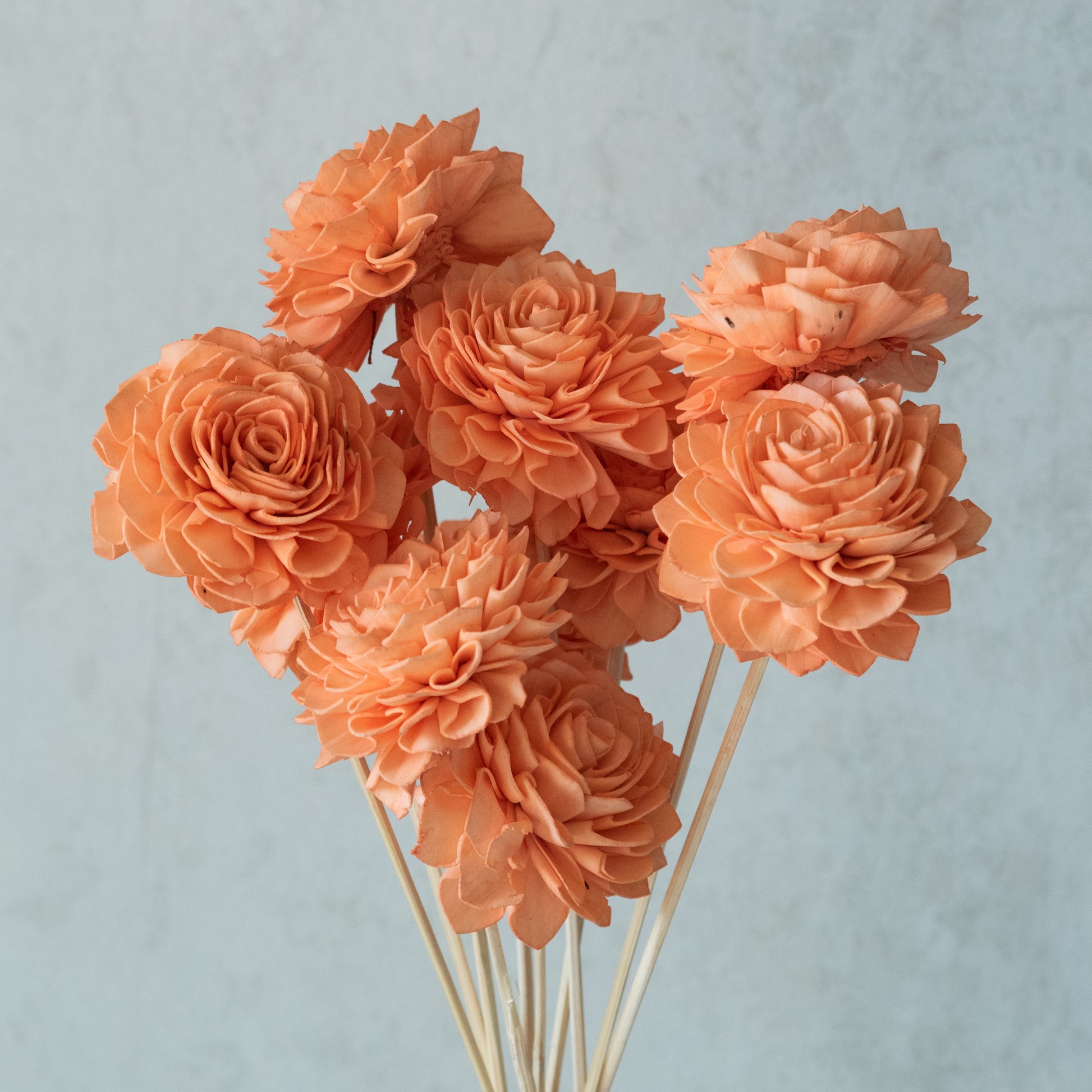 Peachy Sola Wood Flowers Sticks (10 Sticks) – Flowers and Fillers