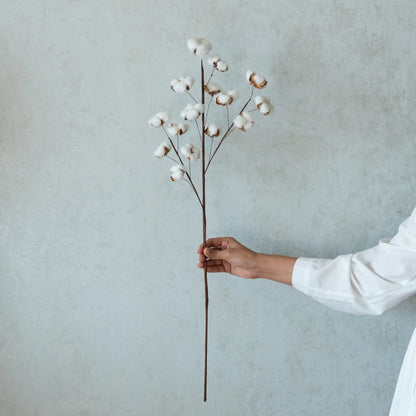 Cotton Branch Stick (Set of 5)