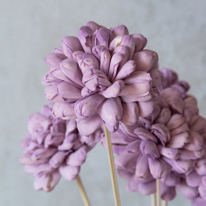 Lilac Sola Wood Flowers Sticks (10 Sticks)