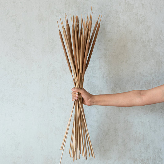 Reed Spadix (Pack of 20)