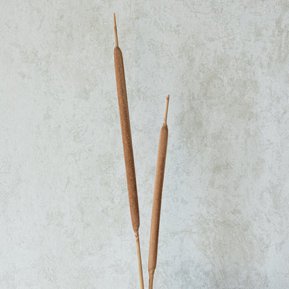 Reed Spadix (Pack of 20)