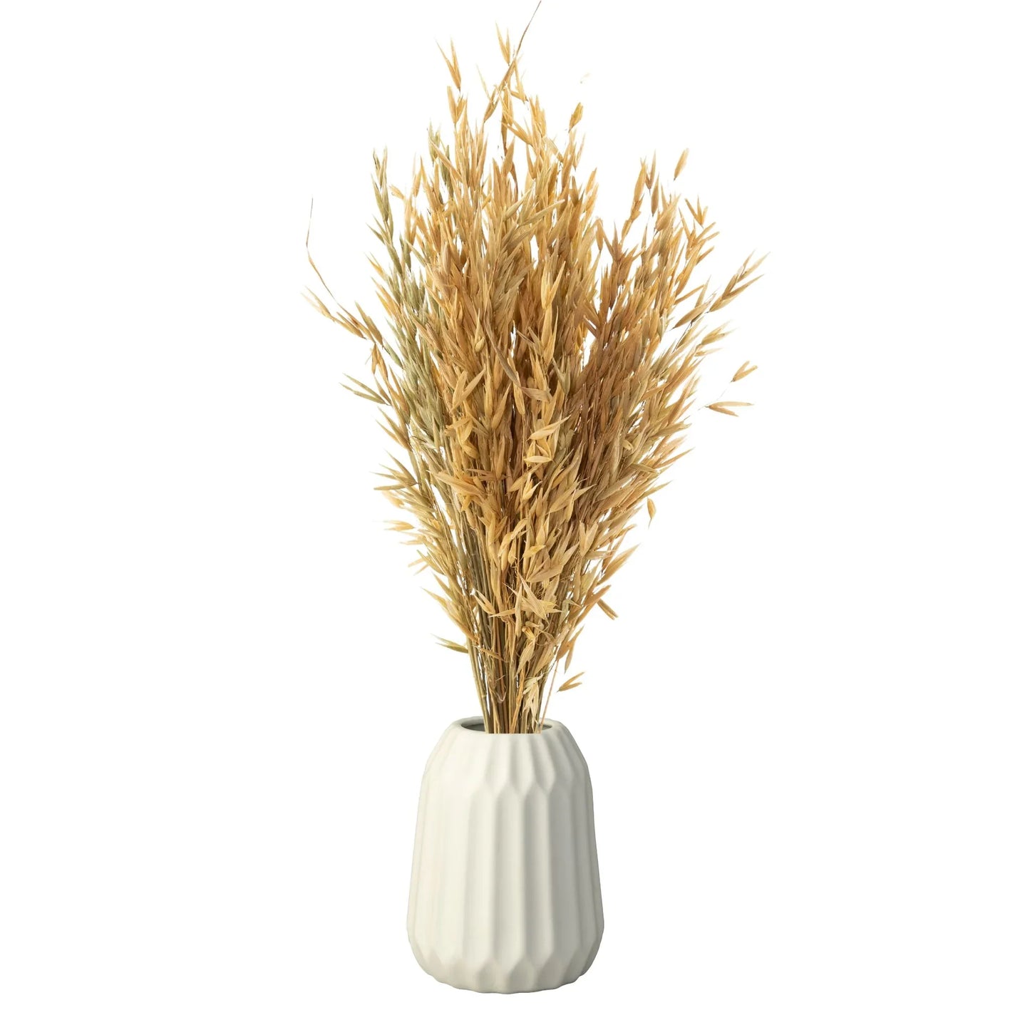 Havana Grass (100 Grams)