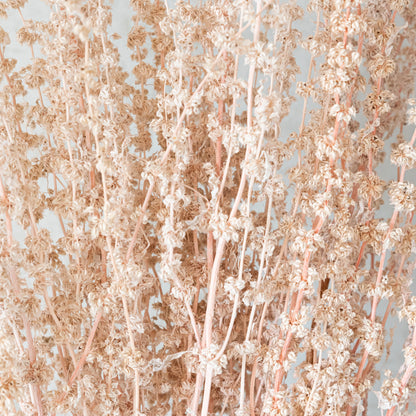 Stag Grass Pink (50 sticks)