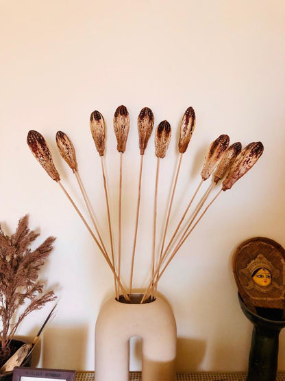 Mehogany On Stem (10 sticks)